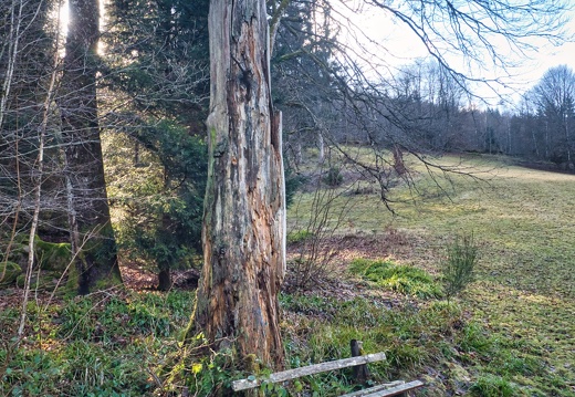 20220205202150-61458f93